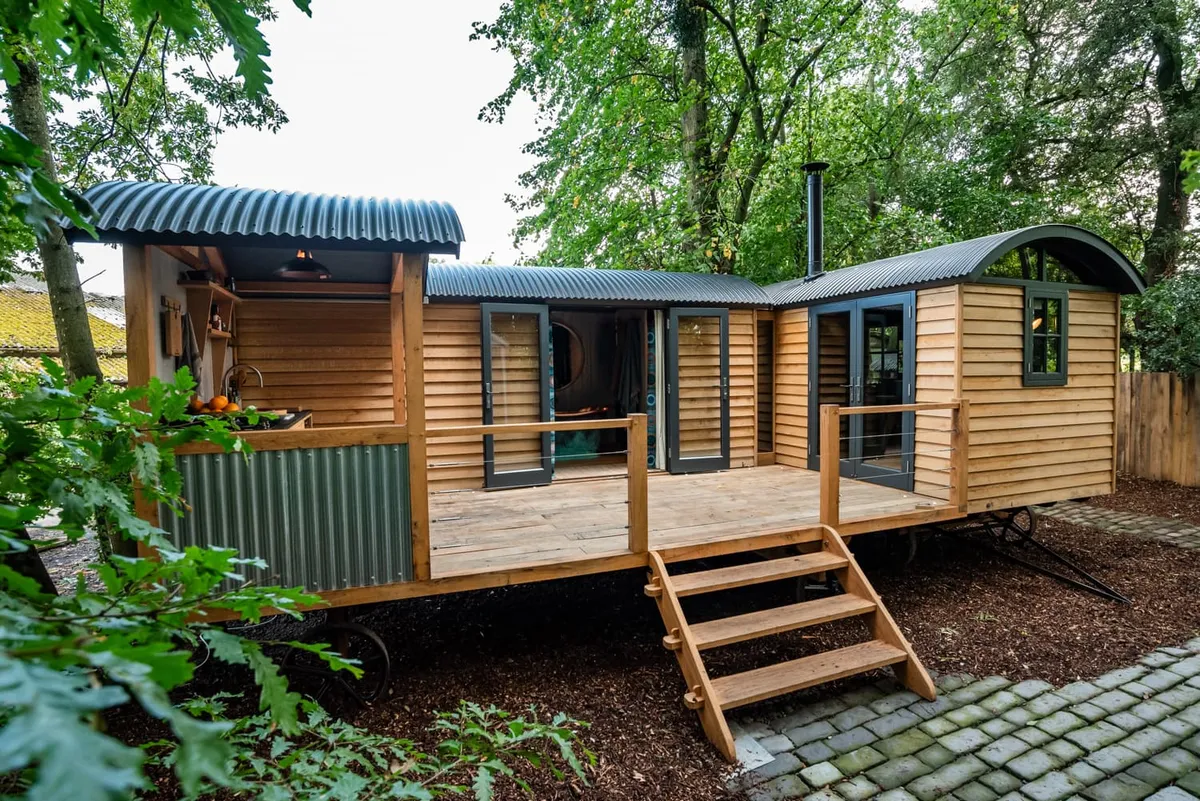 The Brace Hut (Fusion Brace) photo 5