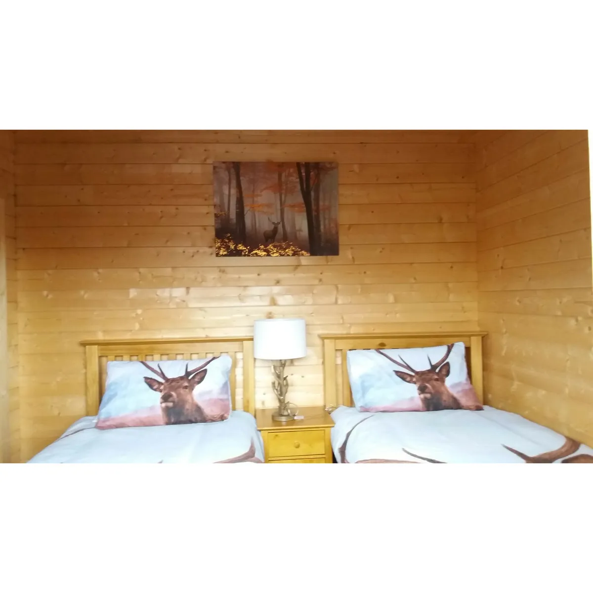 ASCOT T24 XL photo 4