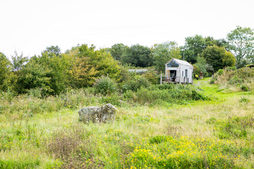 The Dragonfly NaviHo