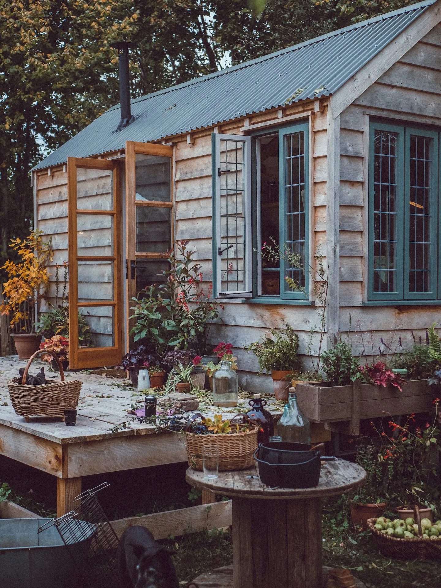 THE BIRCH - STUDIO